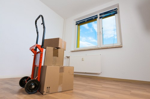 Loading boxes and household items into a removal van