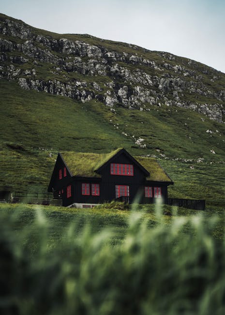 A black house with red-framed windows and a thatched green roof situated in a rural landscape, with a large grassy area in the foreground and a hillside covered in grey rocks and green vegetation behind it. The scene is outdoors, under natural daylight, and the house appears to be a detached property located in a scenic, hilly area. The image lacks visible furniture or moving equipment and does not depict any relocation activity, focusing instead on the setting, which could relate to property or rural lifestyle contexts associated with house removals or moving services like those offered by Man with Van Denmark Hill.