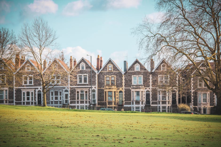 A row of historic terraced houses made of dark grey and beige brick with white window frames, situated behind a well-maintained grassy park area. The buildings feature steeply pitched roofs with chimneys, large front windows, and decorative stonework around the entrances. In the foreground, leafless trees with bare branches line the park, indicating a late autumn or winter setting, with a clear blue sky and a few scattered clouds overhead. The street in front of the houses has parked cars, and the scene depicts a peaceful residential environment. This image reflects the setting for a typical home relocation or furniture transport process, where packing and moving services such as those offered by Man with Van Denmark Hill may operate to facilitate the transition between properties in this area.