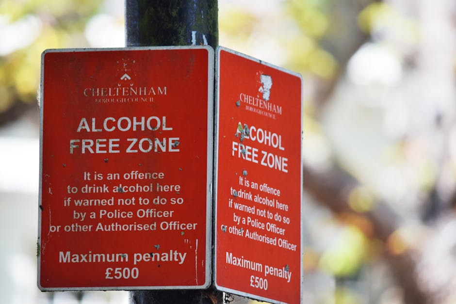 Two red Cheltenham Borough Council alcohol-free zone signs are mounted on a black metal pole outside a building during daylight. The signs display white text warning that drinking alcohol in this area is an offense unless permitted by a Police Officer or other authorized officer, with a maximum penalty of £500. The background features blurred natural light and foliage, suggesting an outdoor urban setting. The signs are slightly weathered with some small dents and scratches. In the context of home relocation or furniture transport, these signs could be relevant to ensuring compliance with local regulations during house removals or moving services provided by Man with Van Denmark Hill, especially when relocating in areas with controlled drinking zones.